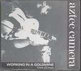 Working in a Goldmine