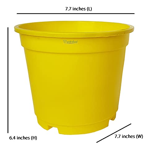 Image of Wonderland 8 inch Set of 3 Big Planter (Plastic Pots for Home Plants) (Yellow)