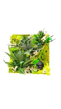 Tableau Végétal Stabilisé 20 x 20 cm green