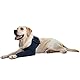 MPS Medical Pet Shirt - TAZ, Vorderbein Ärmel für Hunde, XS