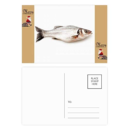 Carte postale Santa Claus Ocean Fish Alive pour remercier vos proches après Noël