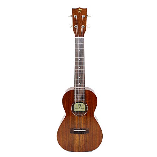 C】ILIKAI UKULELE IL-CON-4KGG ウクレレ イリカイ コンサートサイズ 
