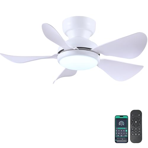 Kviflon 32 Inch Modern Ceiling Fans Lights, Small Flush