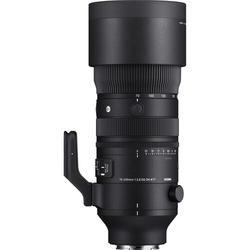 Sigma 24-70mm f/2.8 lens