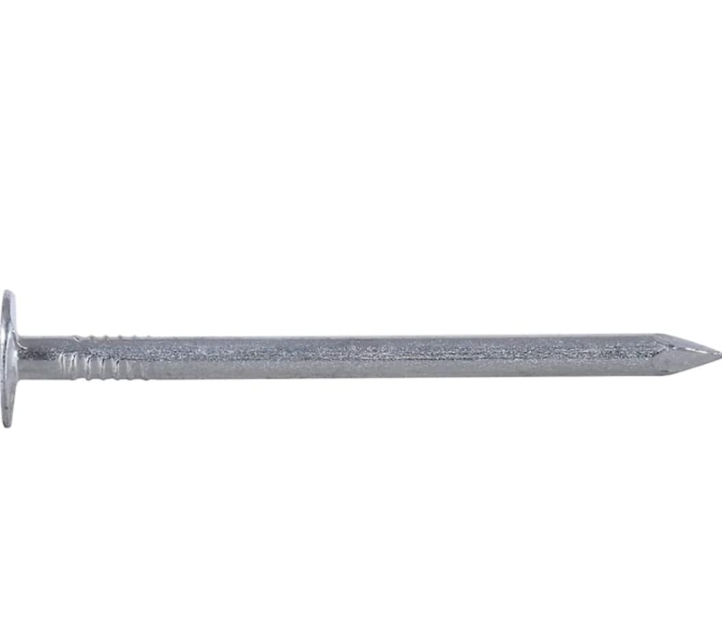 Electro-Galvanized Roofing Nails for Building #11 x 2, 5 lb Box
