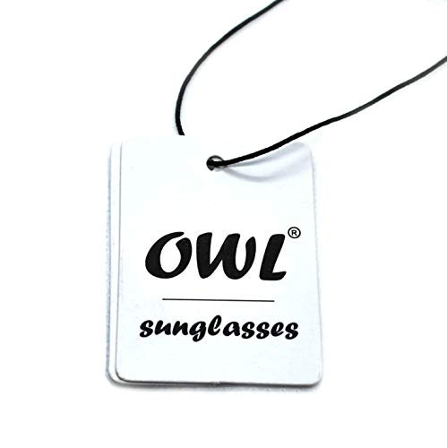 Image of OWL Retro Style Sunglasses 80's Classic Vintage Unisex Nerd Colored Frame