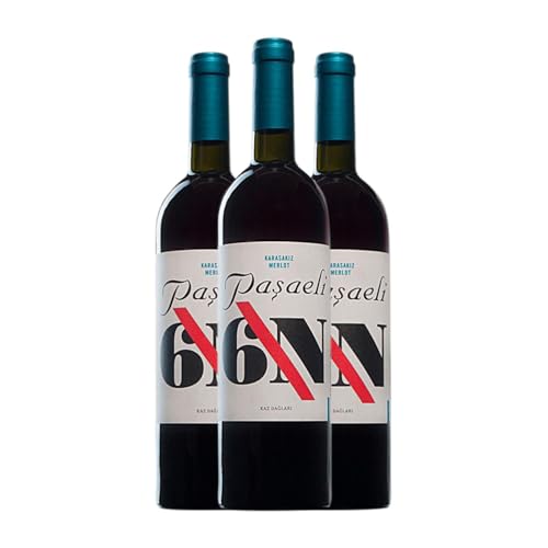 Paşaeli Karasakiz 6N Merlot 75 cl: Caja de 3 Botellas de Vino Tinto Premium Paşaeli Karasakiz 6N Merlot 75 cl: Caja de 3 Botellas de Vino Tinto Premium