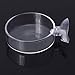Shrimp Feeder Glass Feeding Dish Aquarium Fish For Tank Reptiles Round Clear Food Bowl With Suction Cups 2.4x0.7 Inch Shrimp Feeding Dish Shrimp Feeding Dish And Tube Shrimp Feeding Dish With Suction