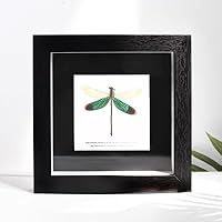 目にトンボが刺さった置物 e180be1e2f598784d69008e87de6d8