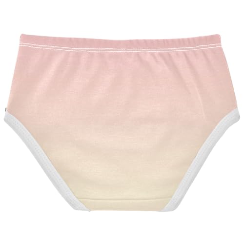 Joisal Pink Light Golden Gradient Toddlers Underwear Floral 2t Cotton Panties for Girl Fun Print Briefs Girls Undies2