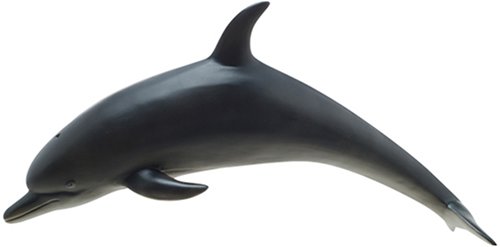 Amazon | バンドウイルカ ビニールモデル | 生物・動物・人体 | おもちゃ