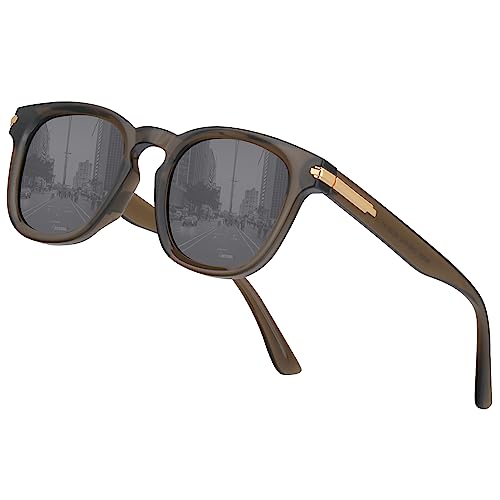 Polarized Sunglasses for Women Rectangle Sun Glasses with UV Protection Classic Fashion Shades for Women Ladies