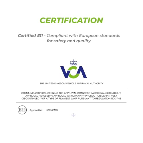 Magnet Pack 10 W5W Halogen-Keillampen 12V 5W Sockel T10 W2,1X9,5D Innen und Außen – Auto und Motorrad