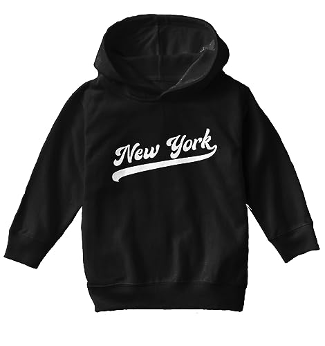 Haase Unlimited New York - Baseball Jersey Style Toddler/Youth Fleece Hoodie2