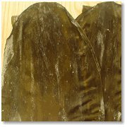 北海道産 （特上） 【羅臼昆布】 良品 1枚入り 100gのサムネイル