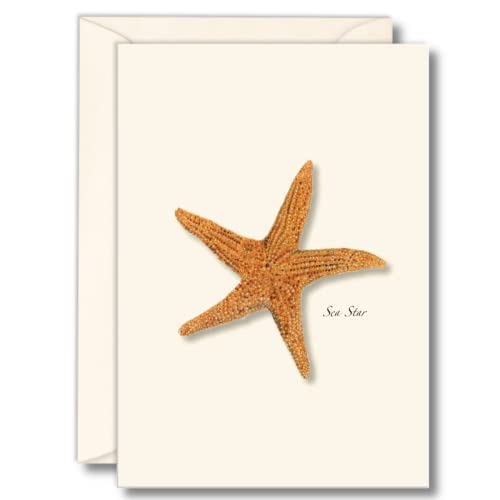 Image of Earth Sky + Water - Sea Star Notecard Set - 8 Blank Cards with Envelopes