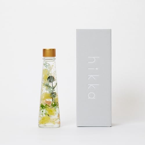 hikka (qbJ) n[oE tXR^ KXr BOX (52mm × H180mm) (CG[) vU[uht[  ͂Ȃ sv { t[ Mtg v[g ̓ iFType03