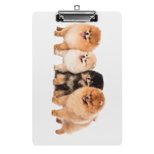 クリップボード A4 縦型 ポメラニアン かわいい いぬ 犬 ファイルボード 壁掛け 画板 書きやすい お会計ボード て持ち運びやす 文書整理 文房具 会議パッド 事務用品 メモ 学校 家庭用バインダー