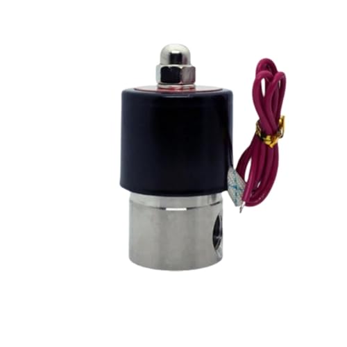 Électrovanne haute température résistant à la corrosion modèle 2S200-20 AC220V