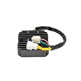 quad triton 450 prix La conception du dissipateur thermique optimise la dissipation thermique, aidant à dissiper l'excès de tension et à empêcher la surcharge de la batterie