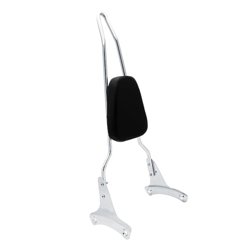 FENGREN Detachable Passenger Sissy Bar