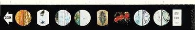 T-239 - Kingdom Plantae Microslides - Kingdom Plantae Microslides - Pack of 1