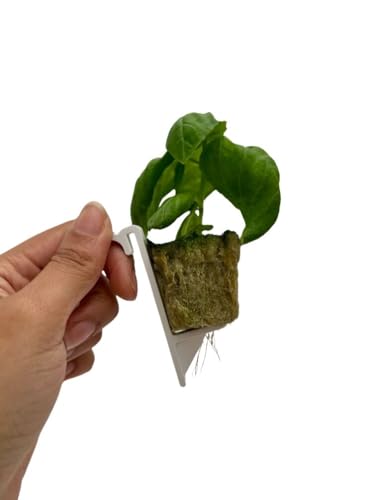 Tower Garden Vertical Growing Clip, White, Small, 30 Count, UV Resistant