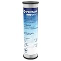 Pentair OMNIFilter RS1 Sediment Water Filter, 10-Inch, Standard Whole House Pleated Cellulose Sediment Replacement Filter Cartridge, 10" x 2.5", 20 Micron, Pack of 1