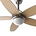 Imagen de EVVO Ventilador de Techo con Luz LED y Mando