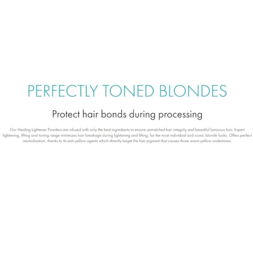 Blond Plex Extreme Lifting 10X Levels Violet Dust Free Lightener Powder Made in Italy 500g /17.63oz Professional Hair Lightening, Maximum Lift Consistent Color and Gentle Formula for All Hair Types