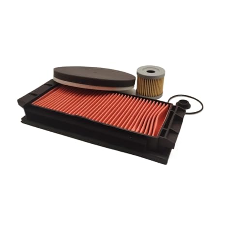Filtro de aire para motocicleta ZT150D y ZT150M, pieza de repuesto original