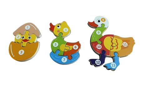 Image of Duck Life Cycle Jigsaw Puzzle - Wooden Jigsaw Puzzle for Kids, Educational Animal Lifecycle Puzzle, Ideal for Ages 2+