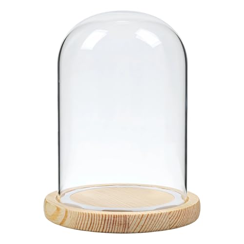 Flores, figuras y coleccionables, vitrina de...