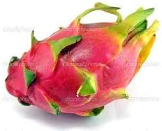 Fresh Dragon Fruit (Set of 6) by Tropical Importers