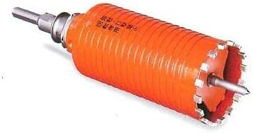 真作】版画リトグラフ万里の長城壮大な世界遺産鮮やかな描写V152 1/10