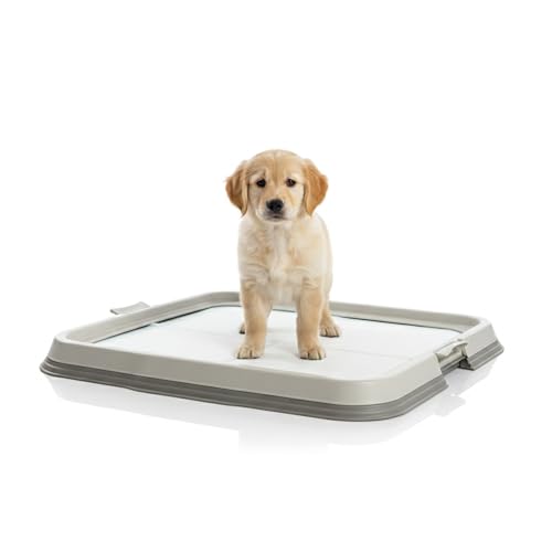 AqpetFriends Lettiera per Cani con Vassoio Porta Tappetini Assorbenti 60x60 cm, Base Antiscivolo per Traversine Igieniche, Ideale per Addestramento Cuccioli e Uso Domestico