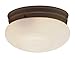 10" Builder Flush Mount