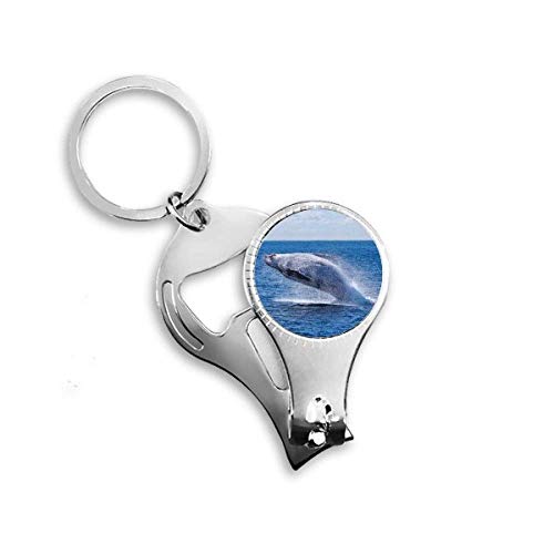 Ocean Humpback Fish Science Nature Picture Nail Nipper Ring Key Chain Bottle Opener Clipper