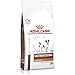 Hund und günstig Kaufen-ROYAL CANIN Veterinary Gastrointestinal Low Fat Small Dogs | 1,5 kg | Für kleine Hunde mit Magen-Darm-Problemen | Kann dabei helfen für eine gesunde Verdauung zu Sorgen