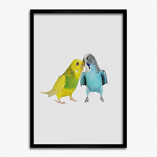 Cadre de peinture budgies haut de gamme en bois MDF 50x70 cm