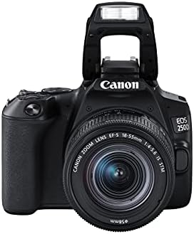 Canon EOS 250D + Canon EF-s 18-55mm f/4-5.6 IS STM Lens - Black