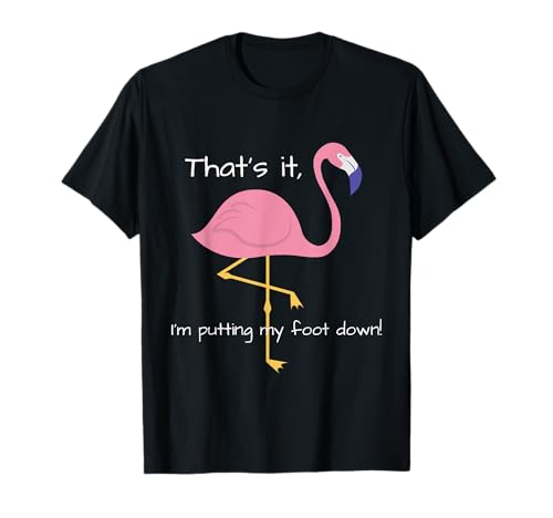 Womens funny flamingo t-shirt