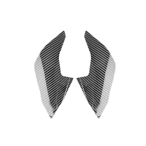 Plaques latérales BMW G310 R 2018-2023 carénage carbone moto