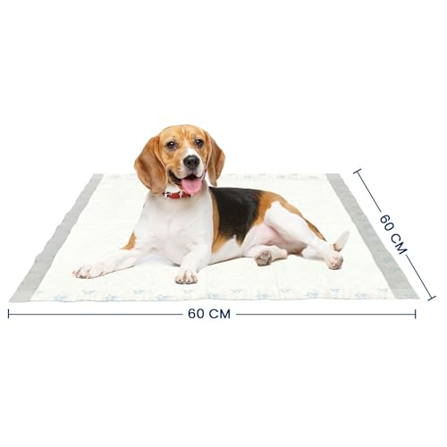 Image of Training Pads, with Odor Lock Technology & Super Absorbent Pee Pads, Leak-Proof Dog Potty Training Pads for Puppies, Dogs,Cats & Rabbits (60 X 60 cm) Pack of 2(100 Pcs Each)