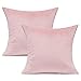 VAKADO 50x50cm Set di 2 Fodere per Cuscini in Velluto Decorativi Cuscini Quadrati Morbidi e accoglienti Decorazioni per la casa per Divano Divano Camera da Letto per Adolescenti, Rosa
