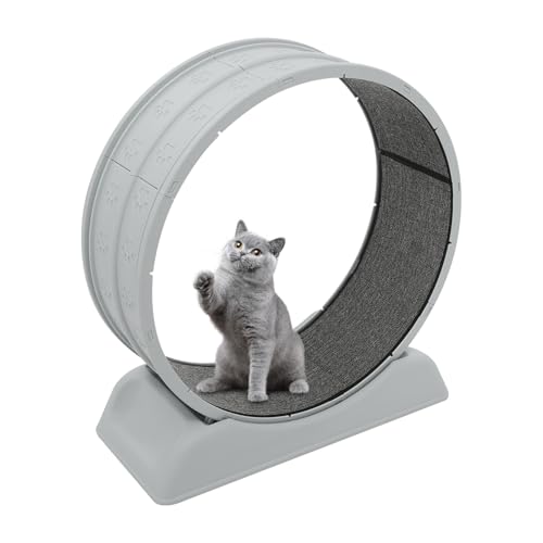 MEELRYD Katzen-Laufband, mit abnehmbarem Laufband und Teppich-Landebahn Katzenlaufrad, Laufrad Katzen, Kunststoff-Katzenrad für die meisten Hauskatze bis zu 10 kg, Grau MEELRYD Katzen-Laufband, mit abnehmbarem Laufband und Teppich-Landebahn Katzenlaufrad, Laufrad Katzen, Kunststoff-Katzenrad für die meisten Hauskatze bis zu 10 kg, Grau