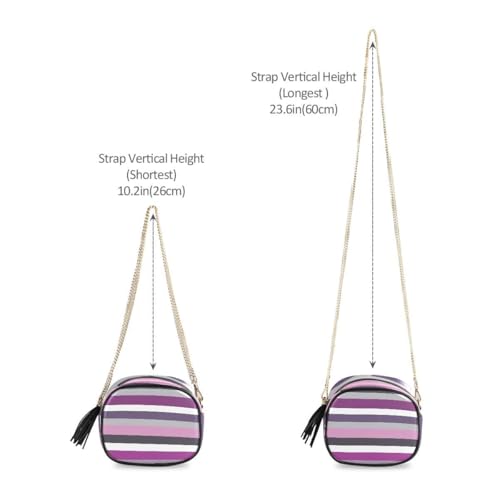 ALAZA Women's Gray and Purple Striped PU Leather Crossbody Bag Shoulder Purse with Tassel4