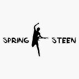 Springsteen design #6 Sticker Bumper Sticker Vinyl Decal 5'