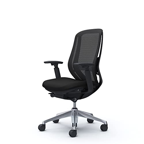 IJ ItBX`FA i gsv VtB[ nCobN wbV AWXgA[ A~r ubNt[ ubN C685ES-FMP1