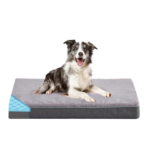 Best Cooling Beds For French Bulldogs Just HEALTHIER Frenchies!